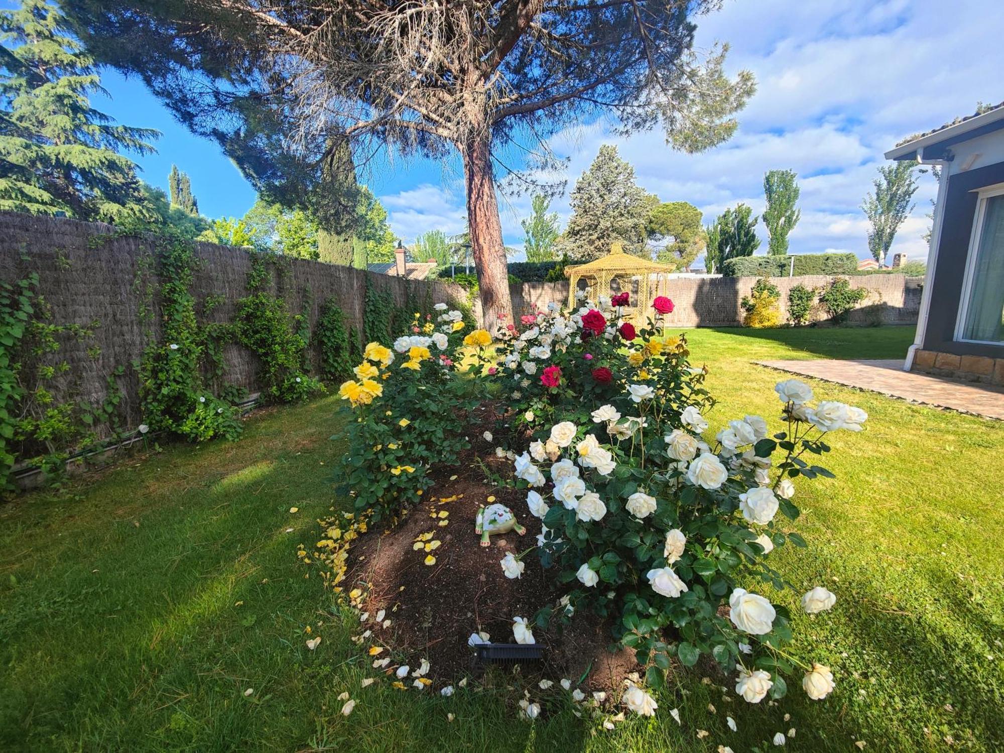 אלחטה Chalet Con Piscina Y Jacuzzi En Madrid Alquila Habitaciones מראה חיצוני תמונה
